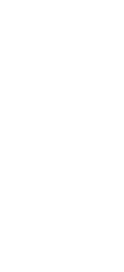 A simple diagonal line graphic used as a decorative design element.