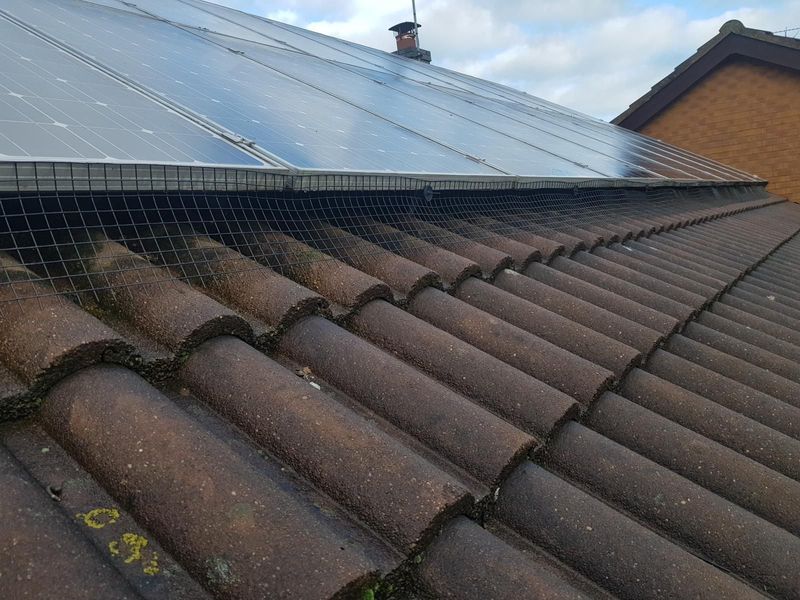 Bird Proofing Solar Panels