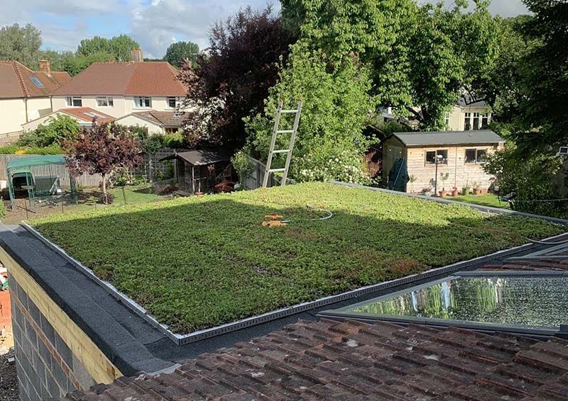 Green Roof Installation