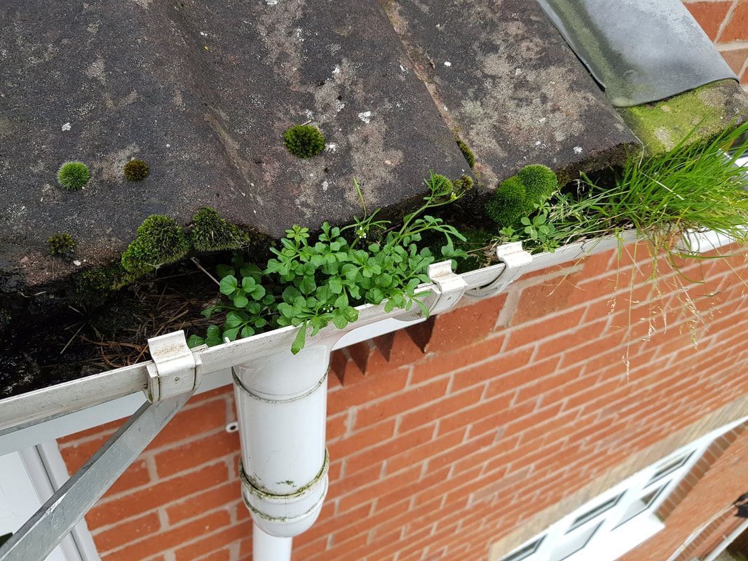 Gutter Guard and Protection Systems in Nottingham.