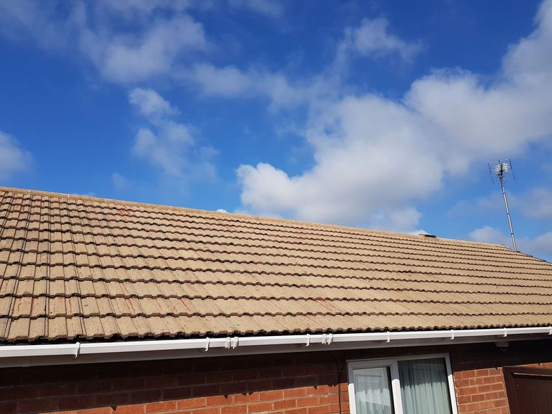 Roof Cleaning