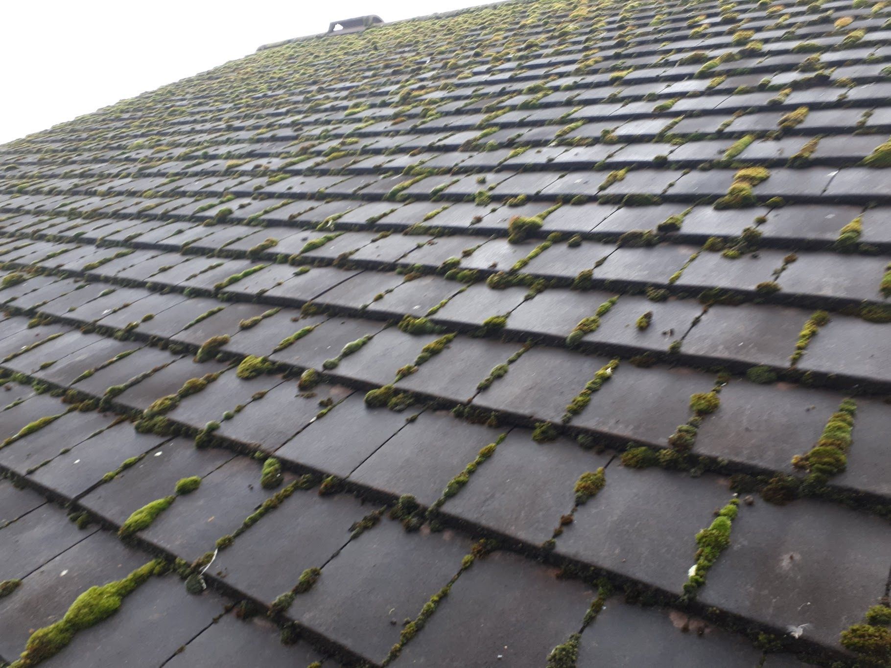 Roof Maintenance Tips